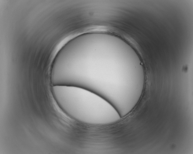 X0000114021475200910021005