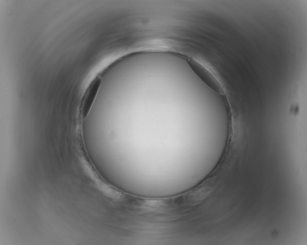X0000114021477200910021005