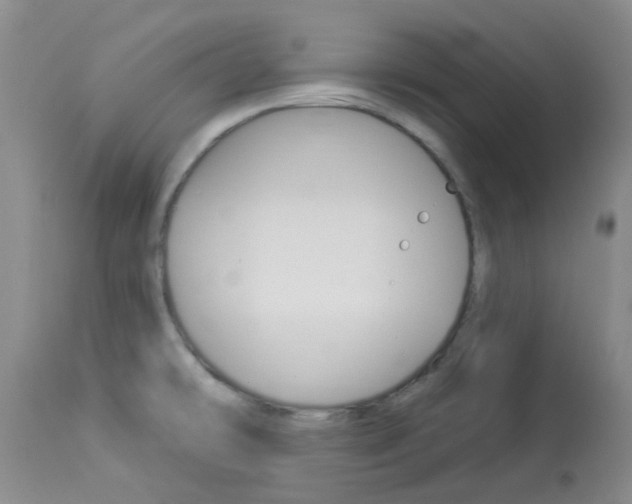X0000114021478200910021005