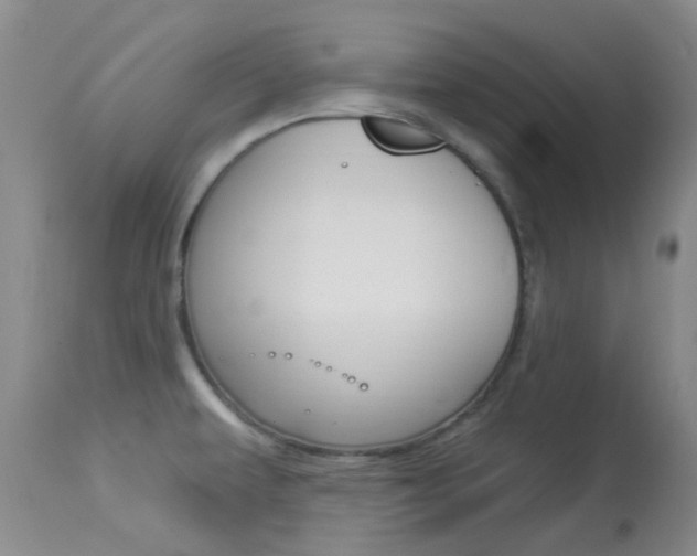 X0000114021479200910021004