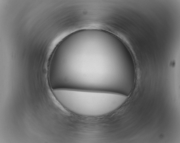 X0000114021480200910021004