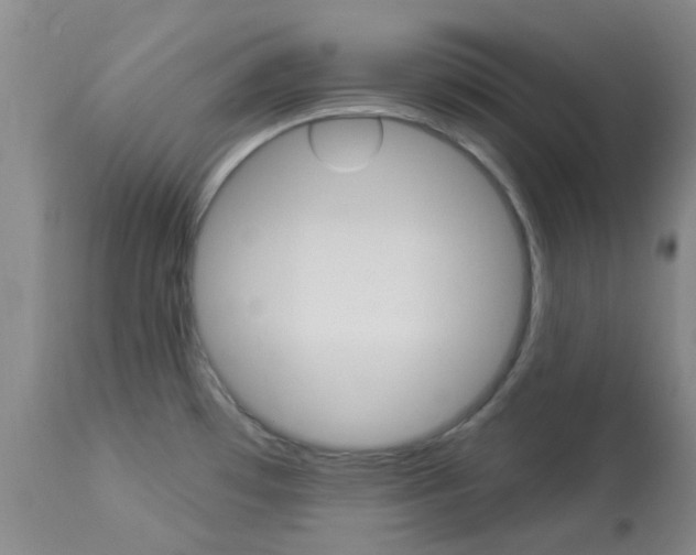 X0000114021481200910021004