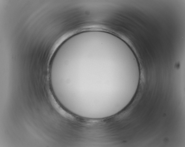 X0000114021482200910021004