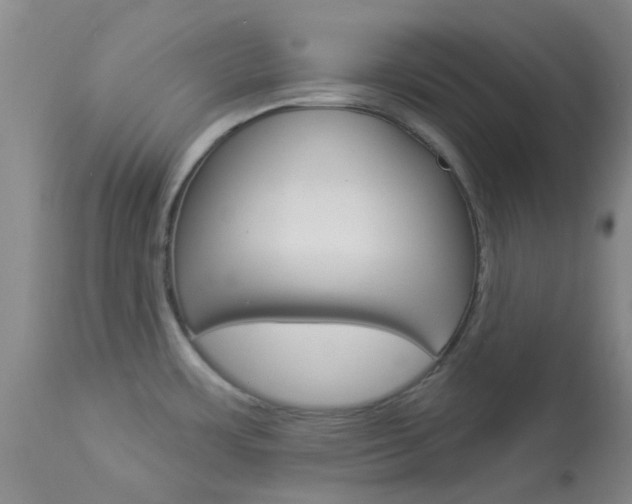 X0000114021483200910021004