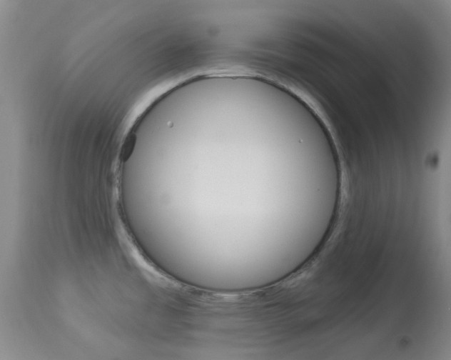 X0000114021485200910021004