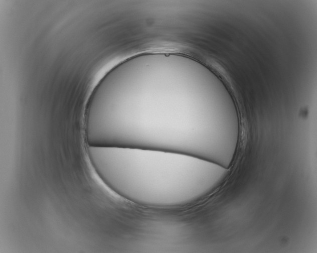 X0000114021487200910021004
