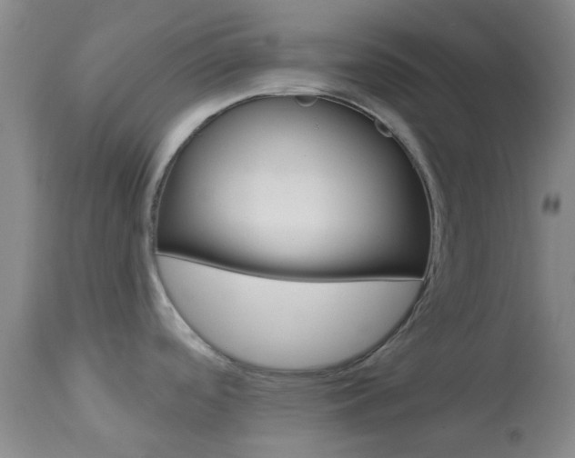 X0000114021488200910021004