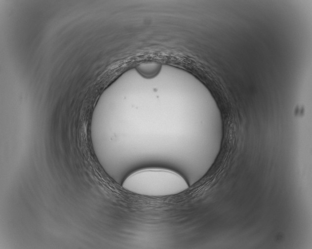 X0000114021489200910021004