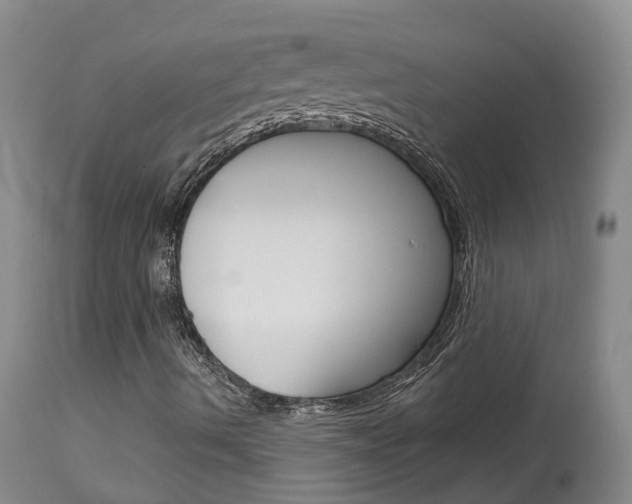 X0000114021490200910021004