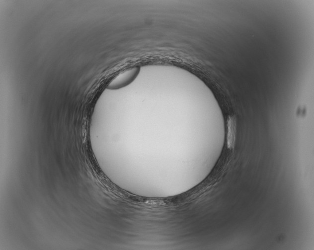 X0000114021491200910021004