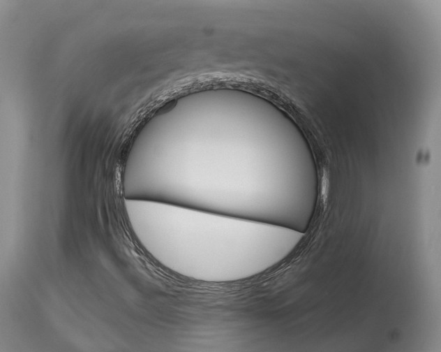X0000114021492200910021004