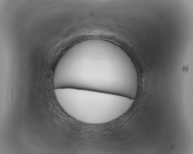 X0000114021493200910021004
