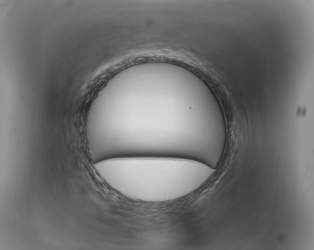 X0000114021494200910021004