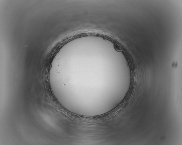 X0000114021495200910021004