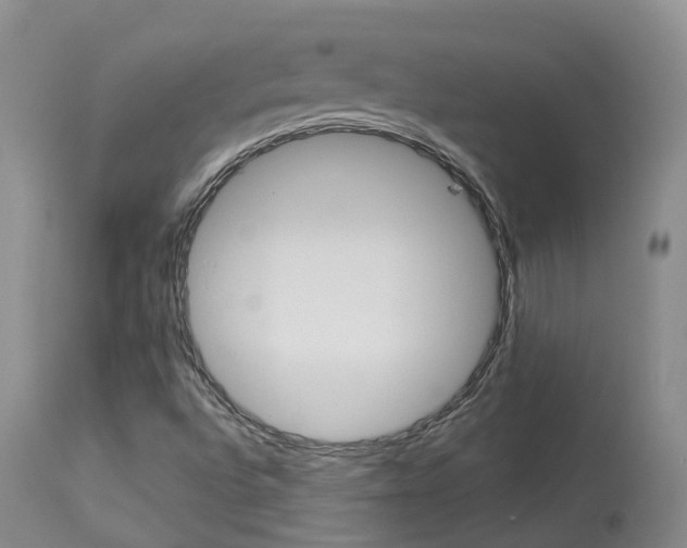 X0000114021496200910021004