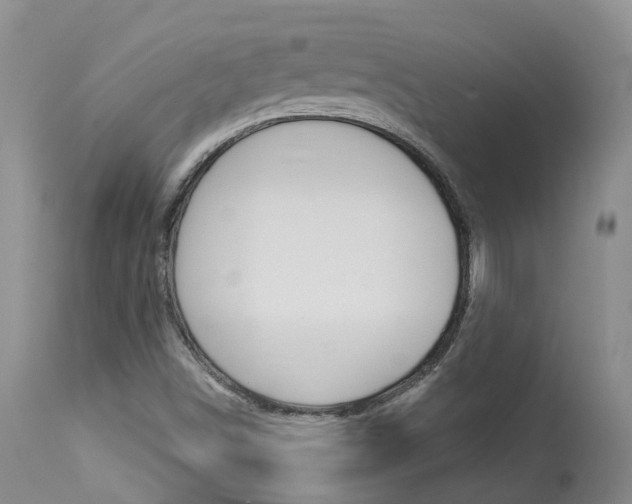 X0000114021498200910021004