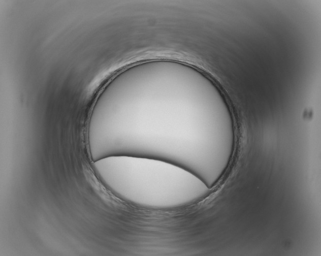X0000114021499200910021004