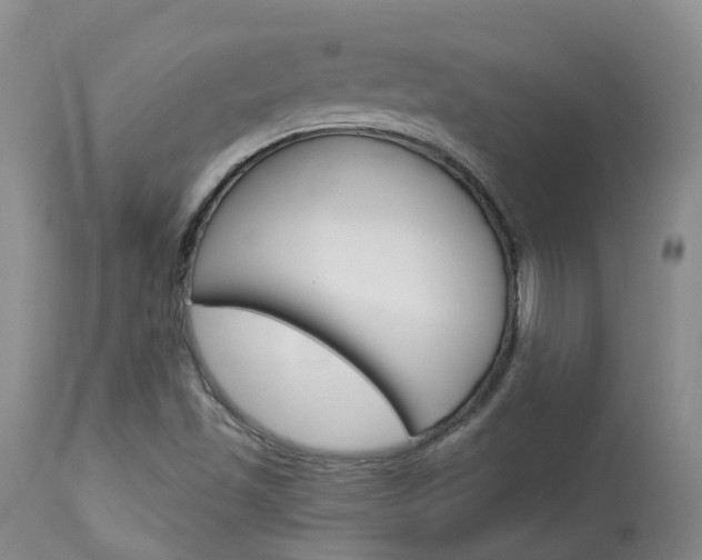 X0000114021501200910021004