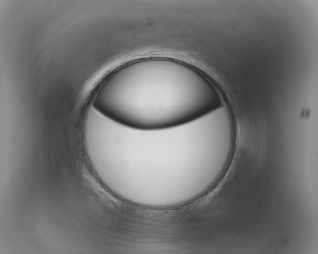 X0000114021502200910021004