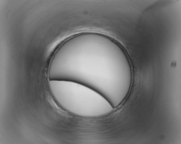 X0000114021503200910021004