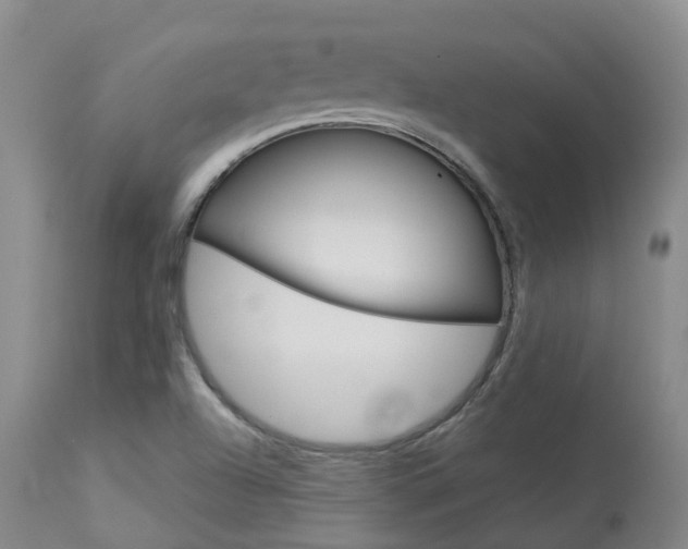 X0000114021504200910021004