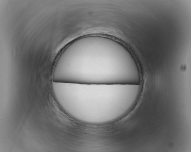 X0000114021505200910021004