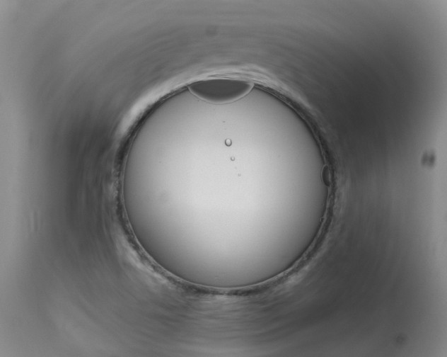 X0000114021506200910021004
