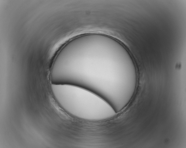 X0000114021507200910021004