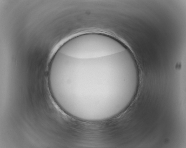 X0000114021508200910021004