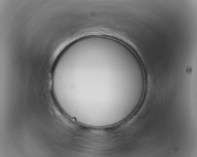 X0000114021509200910021004
