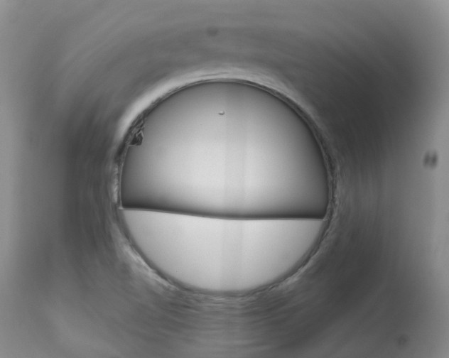 X0000114021510200910021004