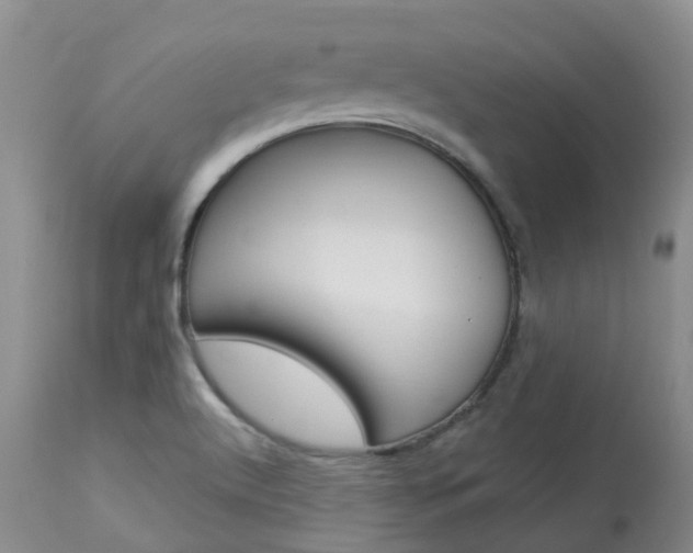 X0000114021512200910021004