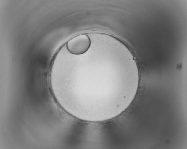 X0000114021514200910021004