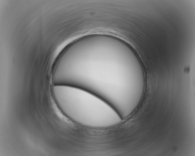 X0000114021515200910021004