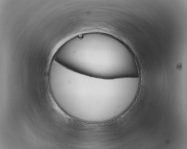 X0000114021516200910021004
