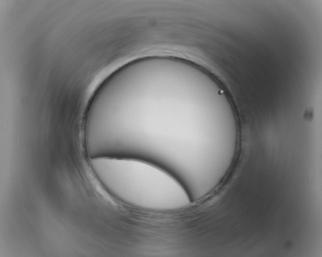 X0000114021517200910021004