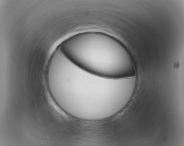 X0000114021518200910021004
