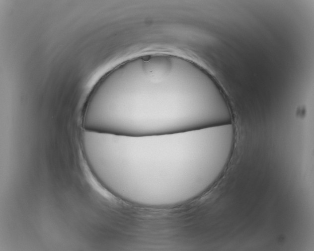X0000114021519200910021004