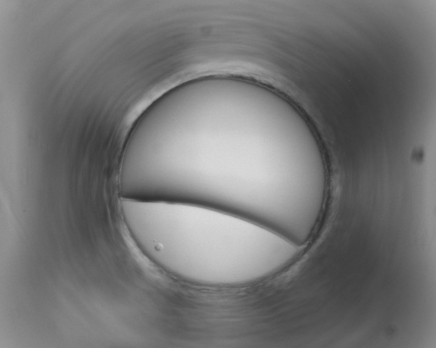 X0000114021521200910021004