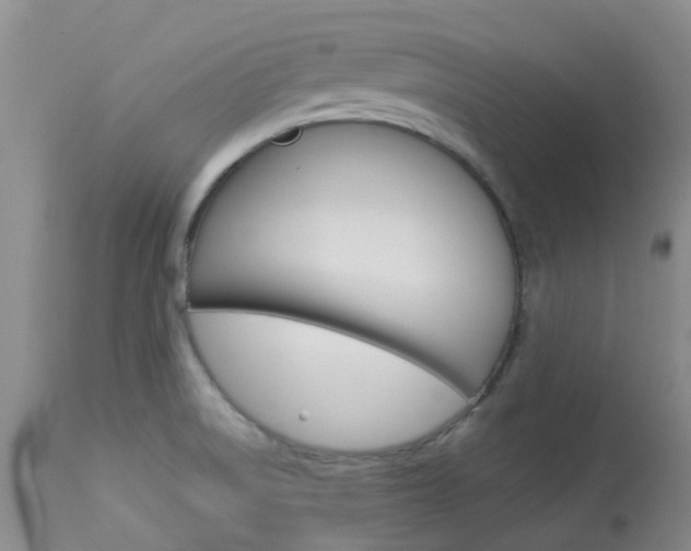 X0000114021522200910021004