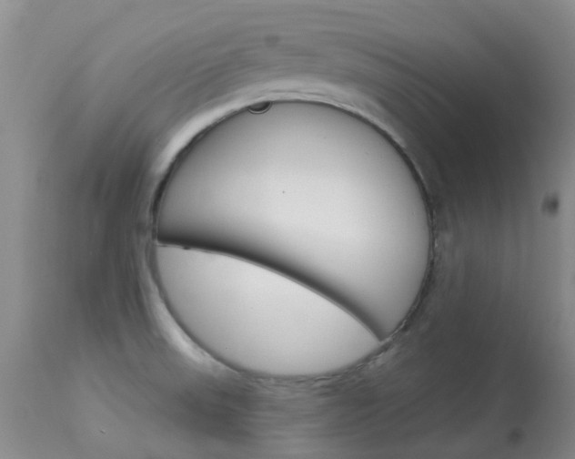 X0000114021523200910021004