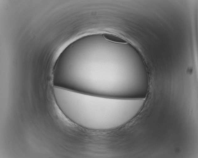 X0000114021524200910021004
