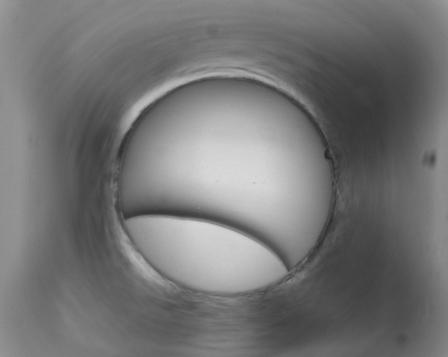 X0000114021526200910021004