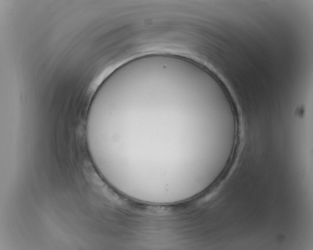 X0000114021529200910021004