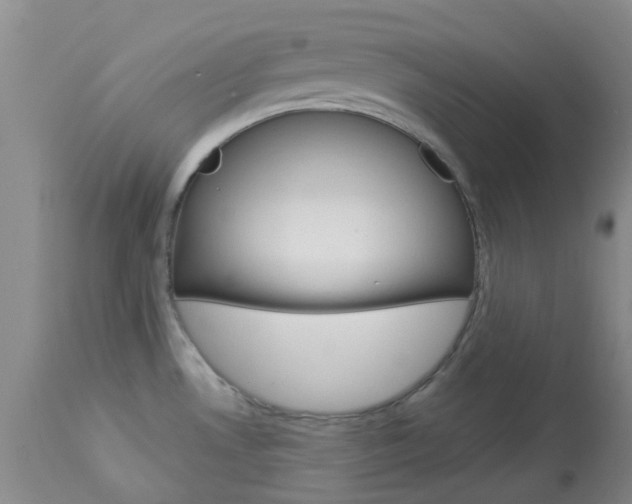 X0000114021530200910021004