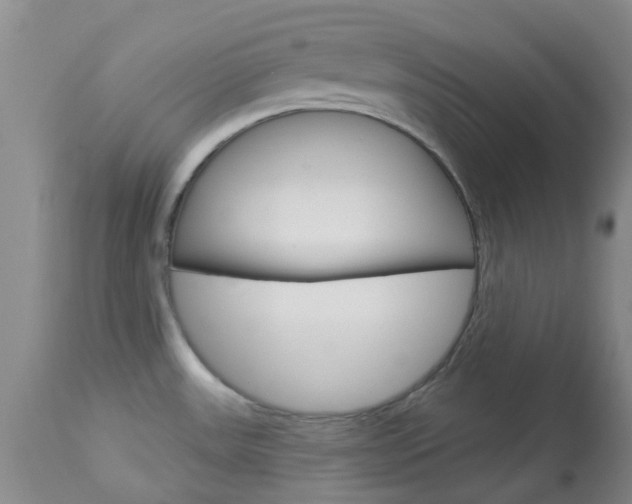 X0000114021531200910021004