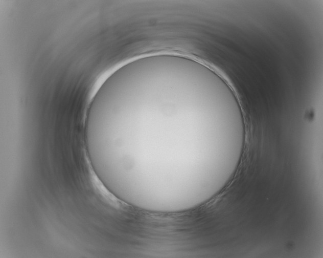 X0000114021532200910021004