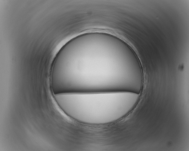 X0000114021533200910021004
