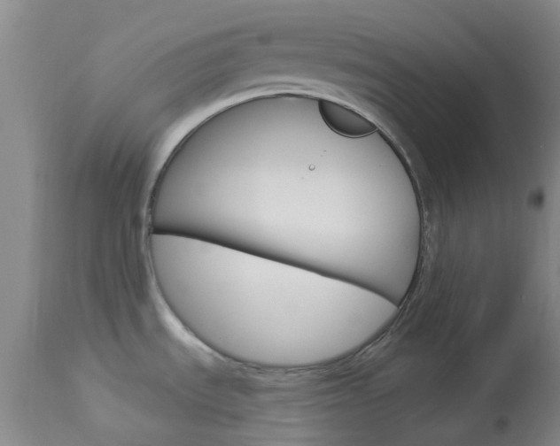 X0000114021535200910021004
