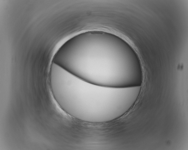 X0000114021536200910021004
